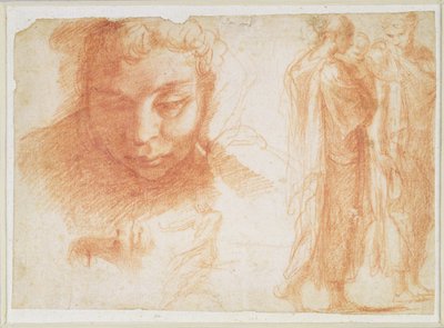 Studies voor het hoofd van een jongeling die naar beneden kijkt en voor de Maagd van de Aankondiging, ca. 1527-28 door Polidoro da Caravaggio